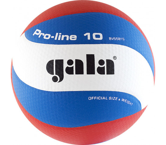 Мяч волейбольный "GALA Pro-Line 10", BV5581S, р. 5,синт.кожа ПУ Microfiber,клееный,бутило image