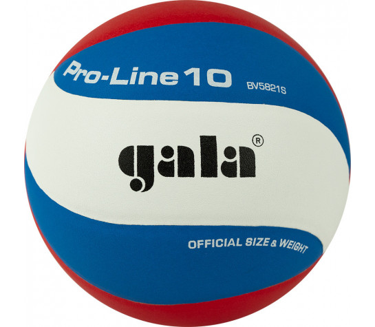 Мяч волейбольный "GALA Pro-Line 10", BV5821SA, р. 5,синт.кожа ПУ Microfiber,клееный,бутило image