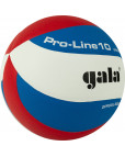 Мяч волейбольный "GALA Pro-Line 10", BV5821SA, р. 5,синт.кожа ПУ Microfiber,клееный,бутило-фото 5 additional image