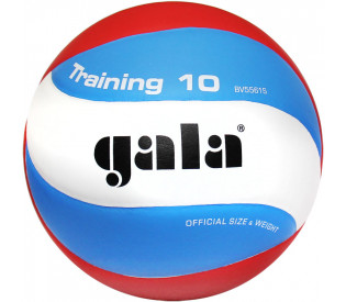 Мяч волейбольный "GALA Training 10" р.5